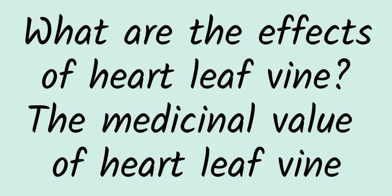 What are the effects of heart leaf vine? The medicinal value of heart leaf vine