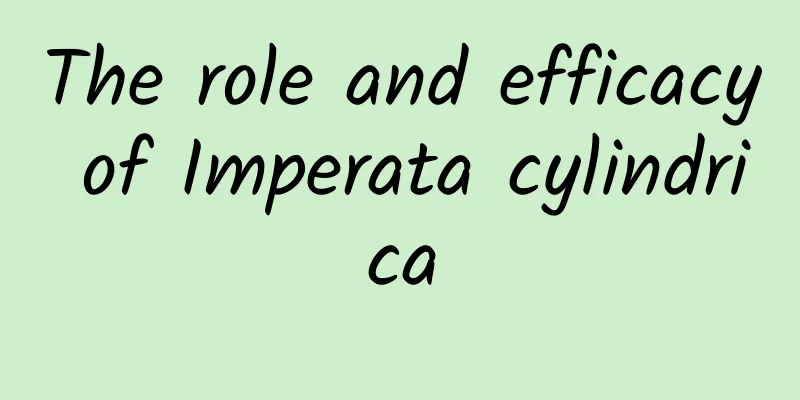 The role and efficacy of Imperata cylindrica