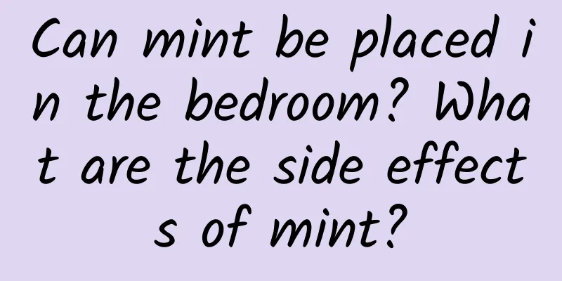 Can mint be placed in the bedroom? What are the side effects of mint?