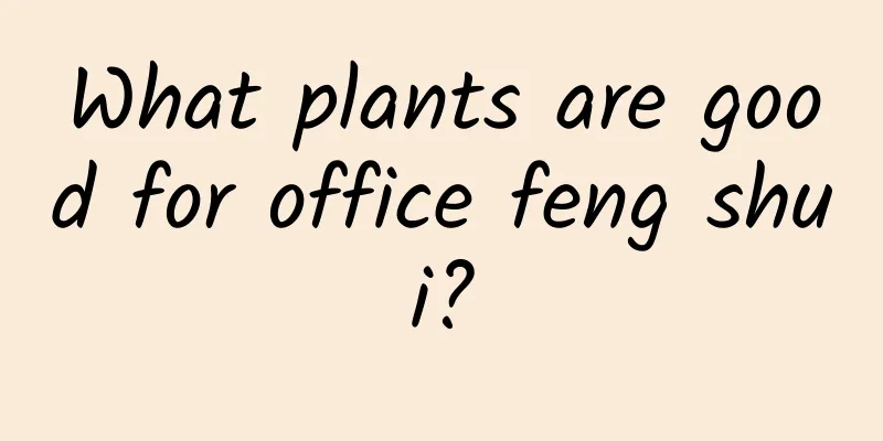 What plants are good for office feng shui?