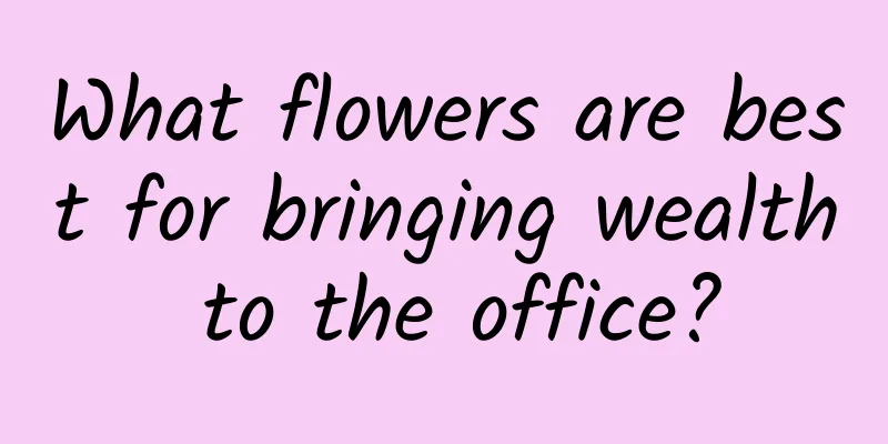 What flowers are best for bringing wealth to the office?