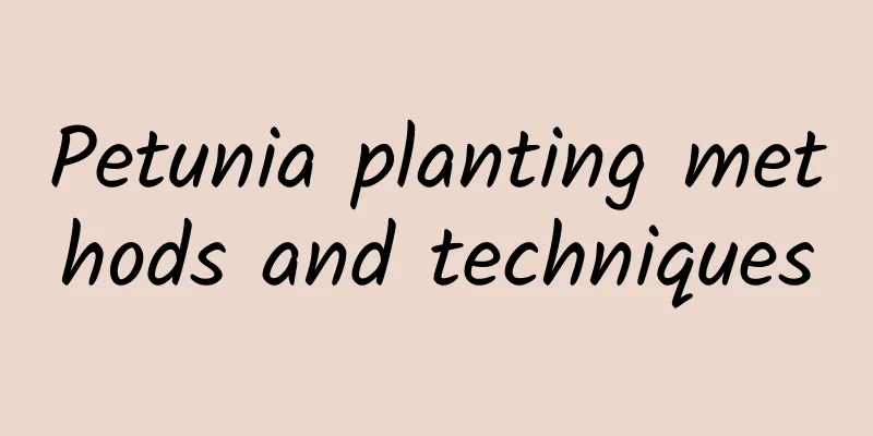 Petunia planting methods and techniques