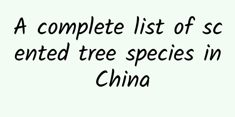 A complete list of scented tree species in China