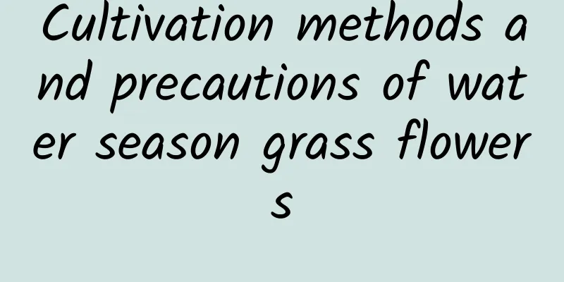 Cultivation methods and precautions of water season grass flowers