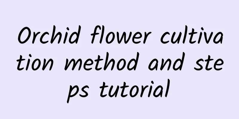 Orchid flower cultivation method and steps tutorial