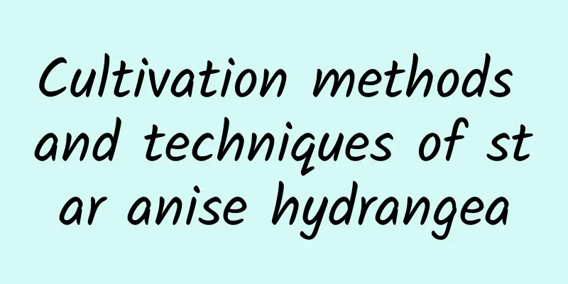 Cultivation methods and techniques of star anise hydrangea