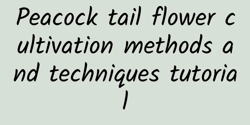 Peacock tail flower cultivation methods and techniques tutorial