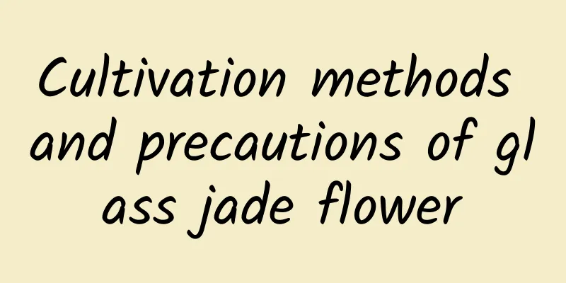 Cultivation methods and precautions of glass jade flower