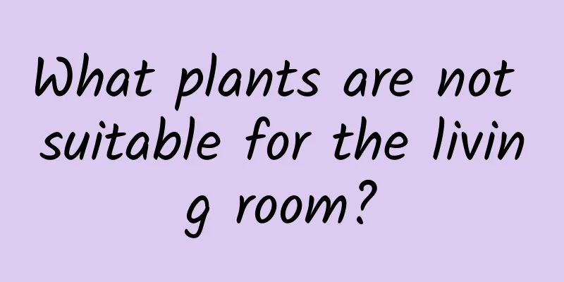 What plants are not suitable for the living room?