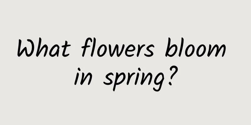 What flowers bloom in spring?