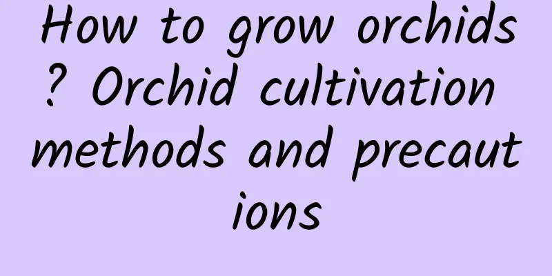 How to grow orchids? Orchid cultivation methods and precautions