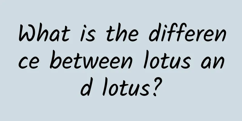 What is the difference between lotus and lotus?