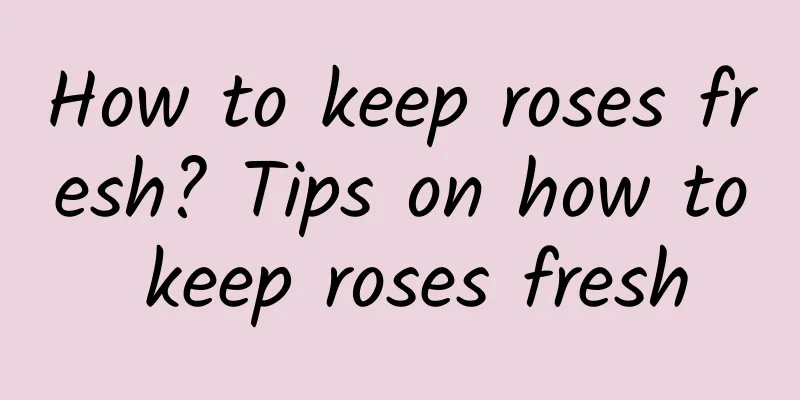 How to keep roses fresh? Tips on how to keep roses fresh