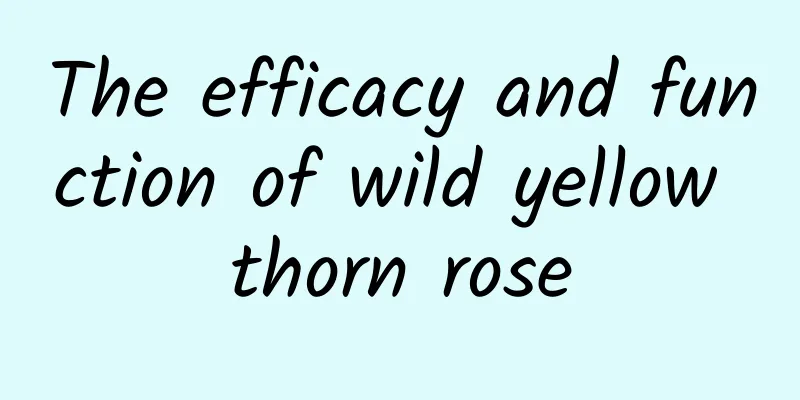 The efficacy and function of wild yellow thorn rose