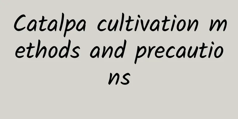 Catalpa cultivation methods and precautions