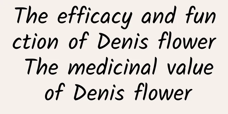 The efficacy and function of Denis flower The medicinal value of Denis flower