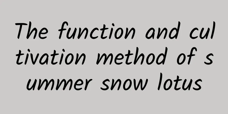 The function and cultivation method of summer snow lotus