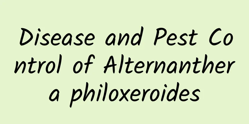 Disease and Pest Control of Alternanthera philoxeroides