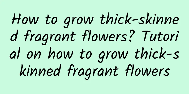 How to grow thick-skinned fragrant flowers? Tutorial on how to grow thick-skinned fragrant flowers