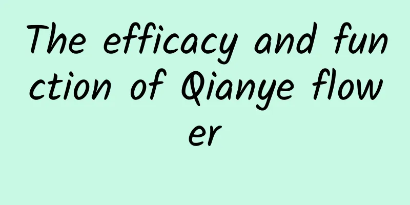 The efficacy and function of Qianye flower