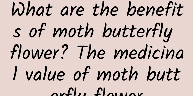 What are the benefits of moth butterfly flower? The medicinal value of moth butterfly flower