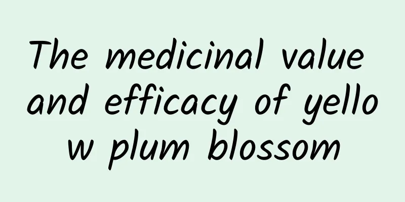 The medicinal value and efficacy of yellow plum blossom