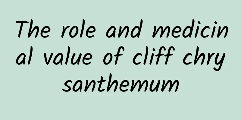 The role and medicinal value of cliff chrysanthemum