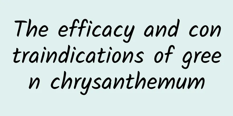 The efficacy and contraindications of green chrysanthemum