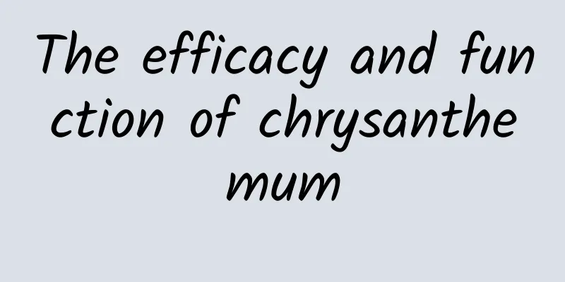 The efficacy and function of chrysanthemum