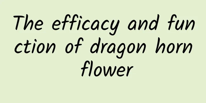 The efficacy and function of dragon horn flower