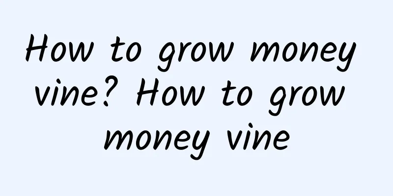 How to grow money vine? How to grow money vine