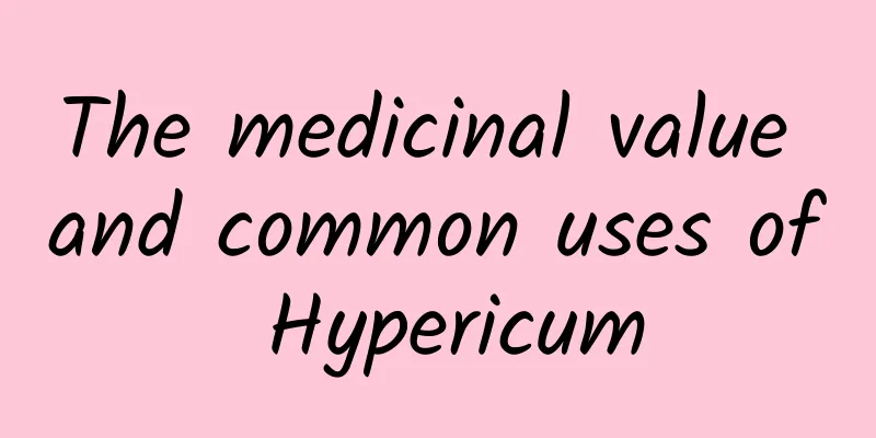 The medicinal value and common uses of Hypericum