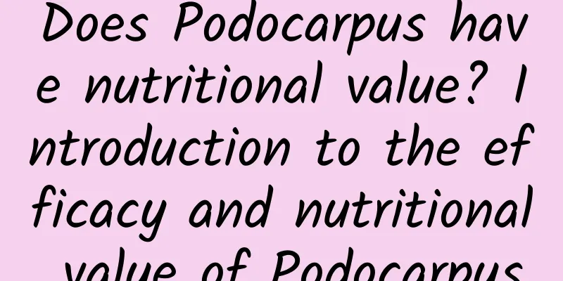 Does Podocarpus have nutritional value? Introduction to the efficacy and nutritional value of Podocarpus