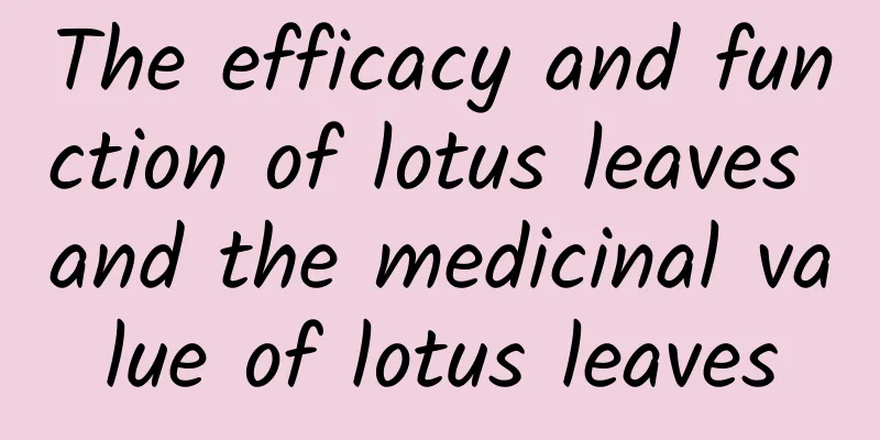 The efficacy and function of lotus leaves and the medicinal value of lotus leaves