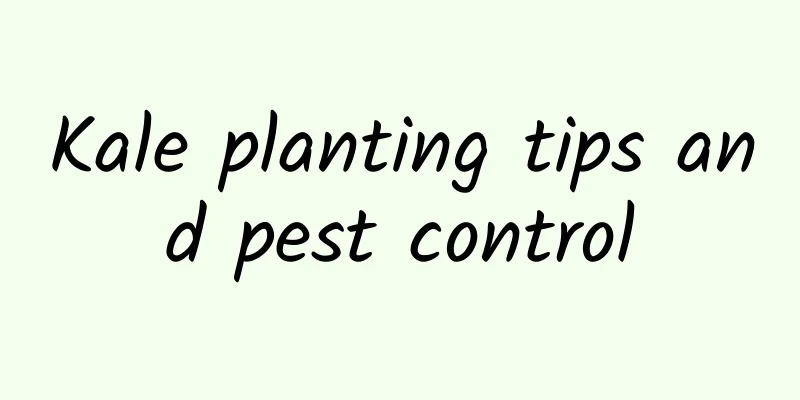 Kale planting tips and pest control