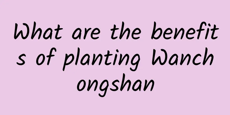 What are the benefits of planting Wanchongshan