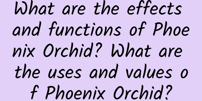 What are the effects and functions of Phoenix Orchid? What are the uses and values ​​of Phoenix Orchid?