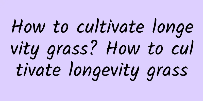 How to cultivate longevity grass? How to cultivate longevity grass