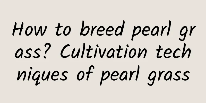 How to breed pearl grass? Cultivation techniques of pearl grass