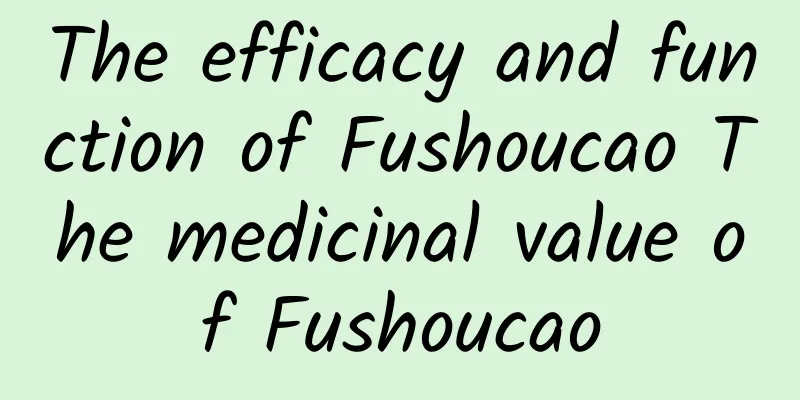 The efficacy and function of Fushoucao The medicinal value of Fushoucao