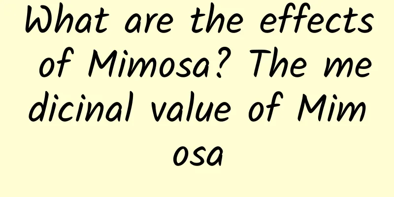 What are the effects of Mimosa? The medicinal value of Mimosa