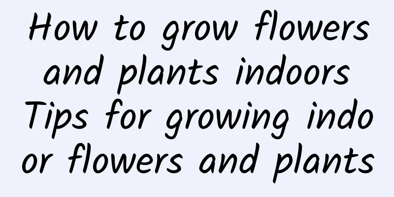 How to grow flowers and plants indoors Tips for growing indoor flowers and plants