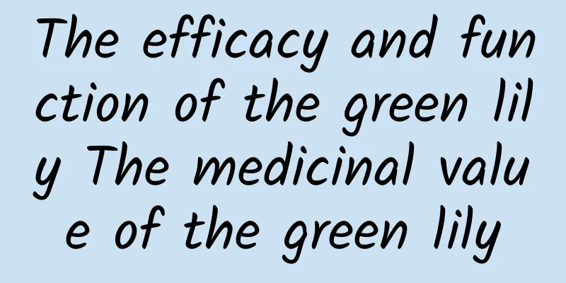 The efficacy and function of the green lily The medicinal value of the green lily