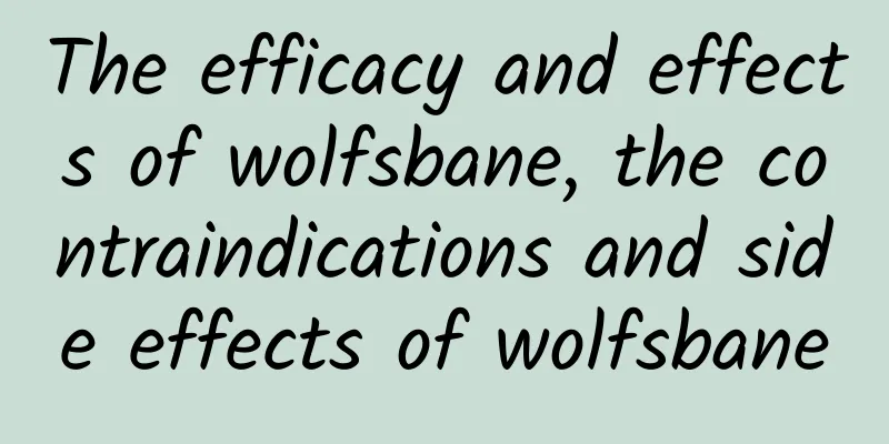 The efficacy and effects of wolfsbane, the contraindications and side effects of wolfsbane