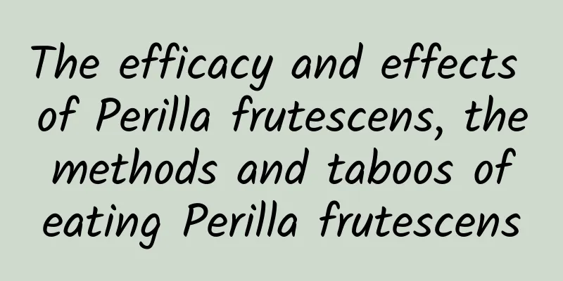 The efficacy and effects of Perilla frutescens, the methods and taboos of eating Perilla frutescens