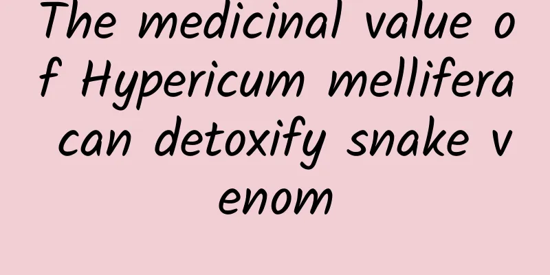 The medicinal value of Hypericum mellifera can detoxify snake venom