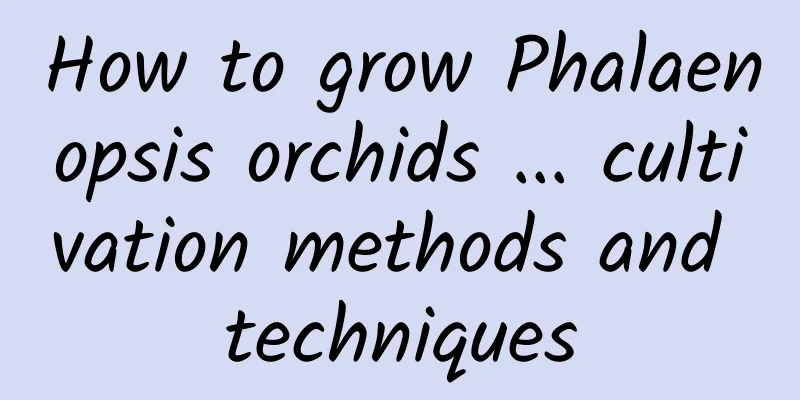 How to grow Phalaenopsis orchids ... cultivation methods and techniques