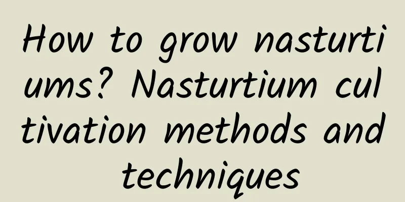 How to grow nasturtiums? Nasturtium cultivation methods and techniques