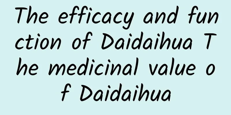 The efficacy and function of Daidaihua The medicinal value of Daidaihua