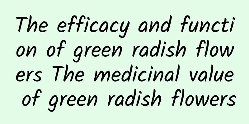 The efficacy and function of green radish flowers The medicinal value of green radish flowers